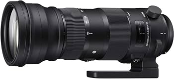 Amazon.com : Sigma 150-600mm 5-6.3 Sports DG OS HSM Lens for Canon