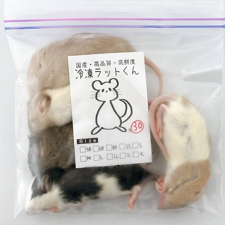 Amazon | 国産冷凍ラット (ファジー M 30 g 5匹) | 冷凍ラットくん