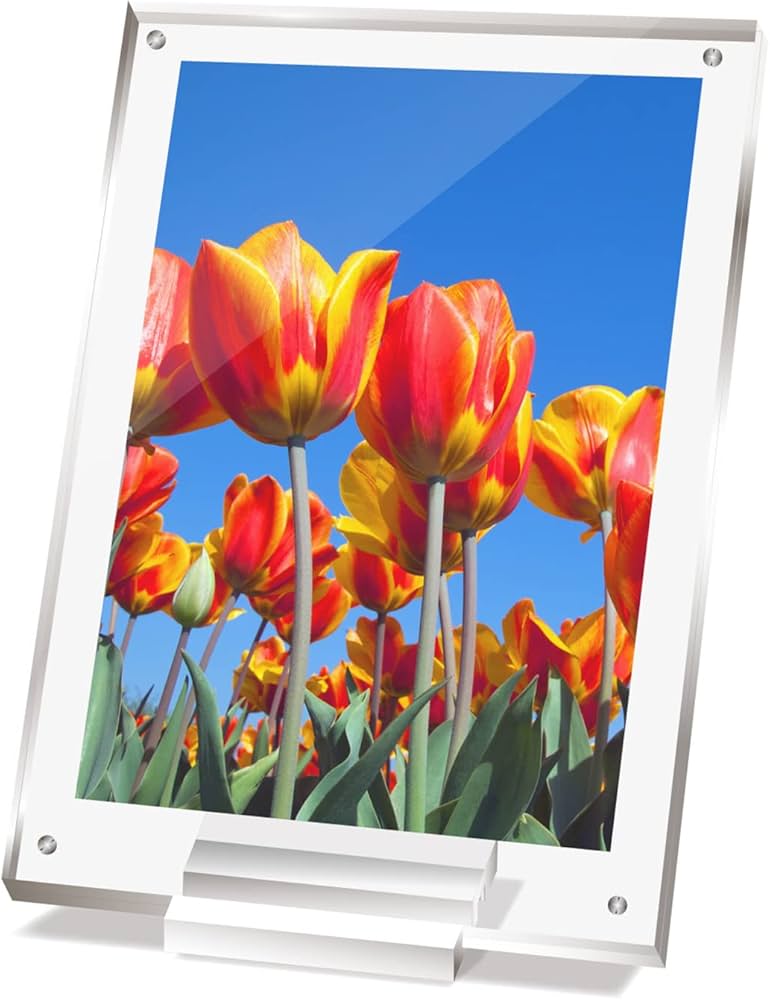 Amazon.co.jp: BBEST アクリル フォトフレーム アクリルフレーム A4