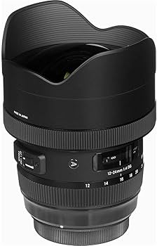 Amazon.com : Sigma 12-24mm f/4 DG HSM Art Lens for Nikon F (205955