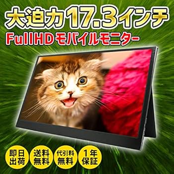 Amazon.co.jp: モバイルモニター フルHD 17.3インチ 3年保証 WT-173SF