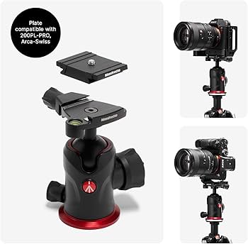 Amazon.com : Manfrotto 290XTRA Aluminum Camera Tripod with 496