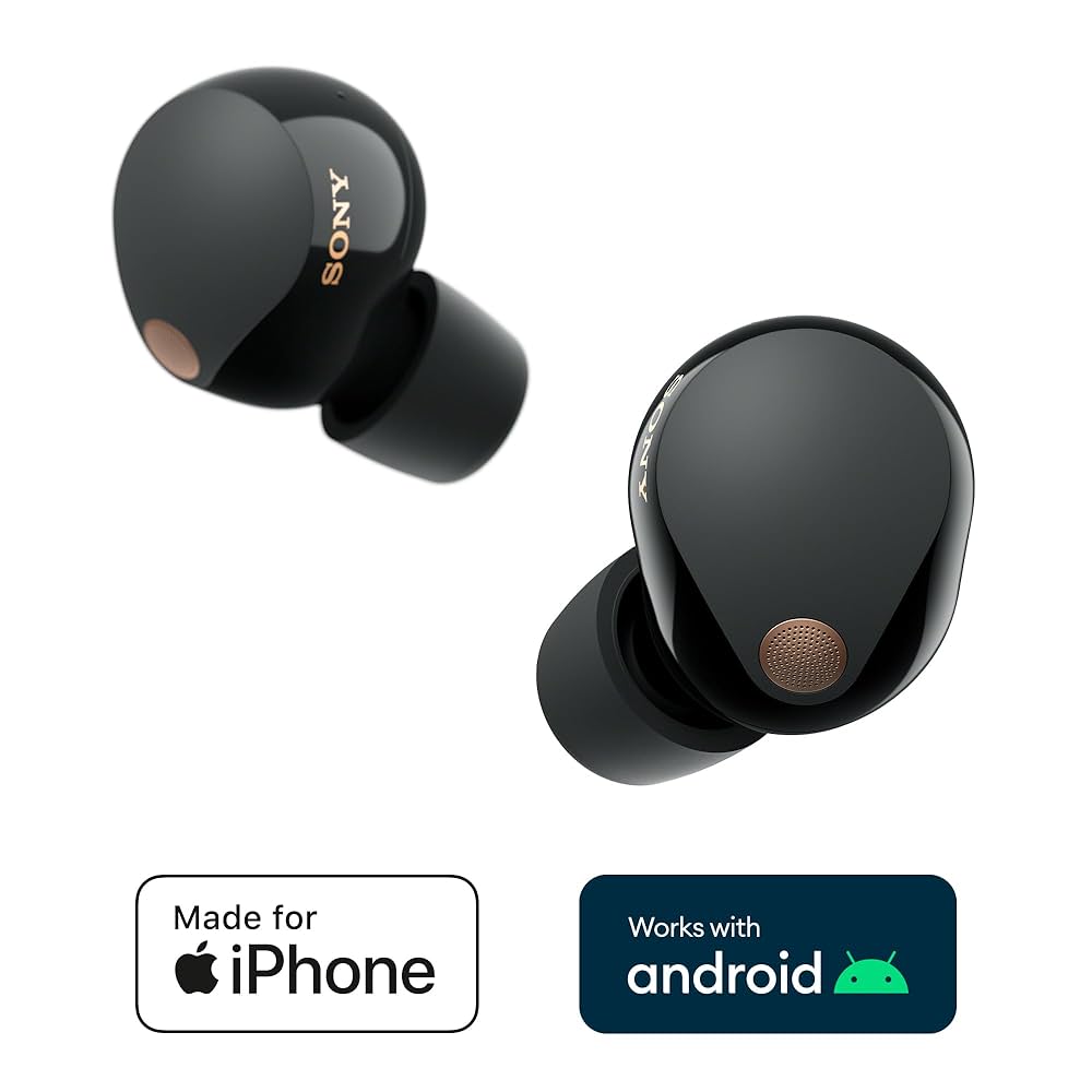 左耳のみ】SONY WF-1000XM5 ワイヤレスイヤホン ブラック 【公式通販】