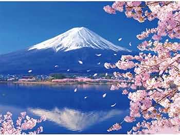 61s23ntT7VL._AC_UF350,