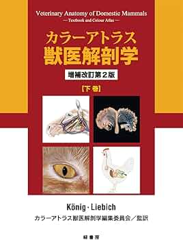 61sndUsZQzL._AC_UF350,