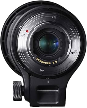 Amazon.co.jp: Sigma 150-600mm F5-6.3 DG OS HSM | C : Electronics