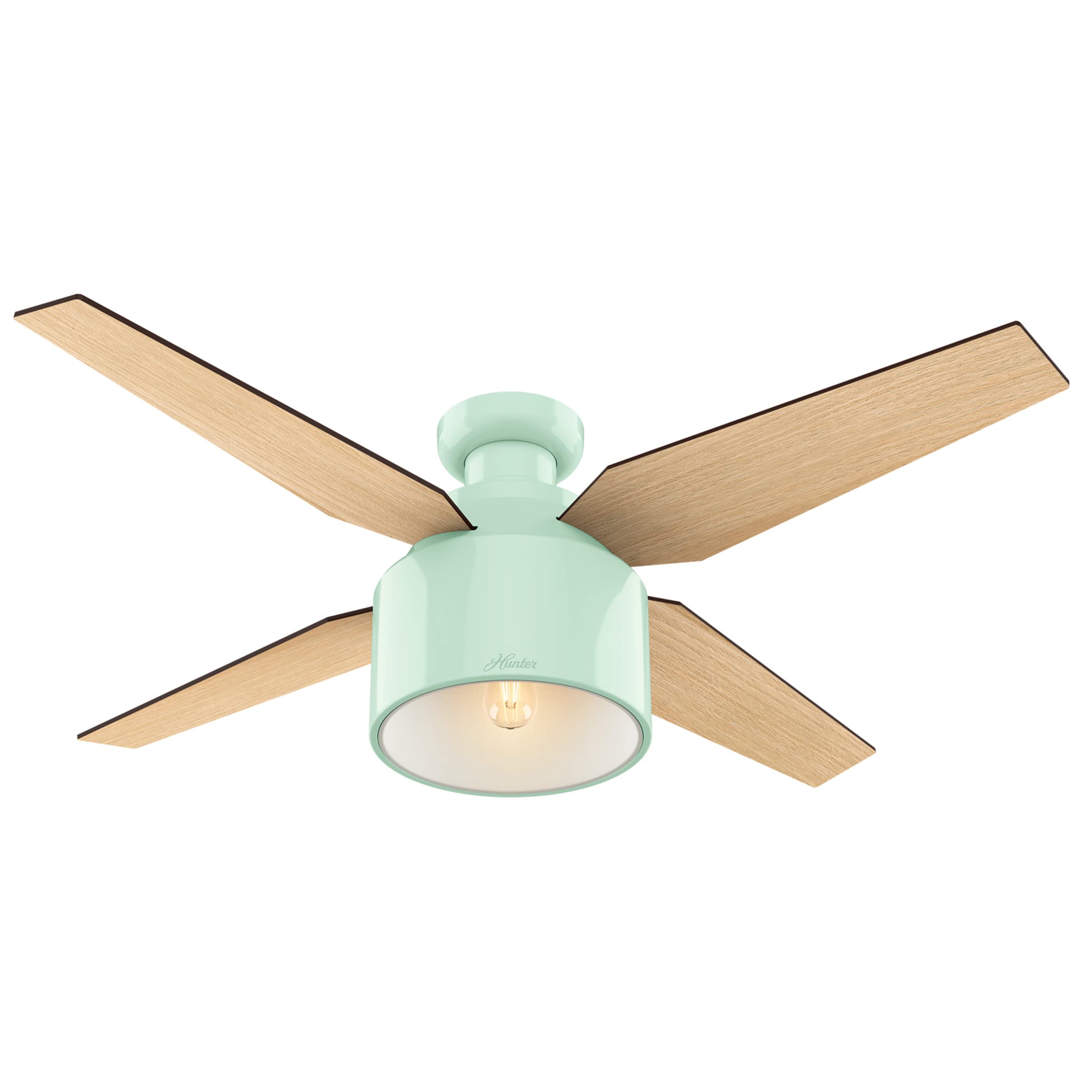 Hunter Fan Company 59262 シーリングファン Hunter 52 inch Outdoor