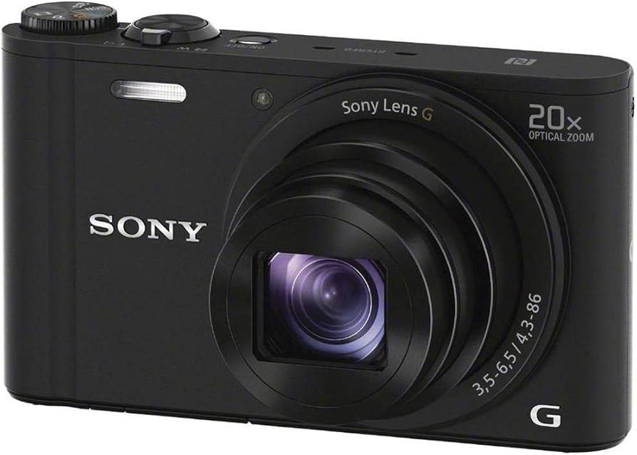Amazon.com : Sony DSCWX350 18 MP Digital Camera (Black) : Electronics