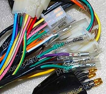Amazon.co.jp: PHOENIX メインハーネスキット 12Vエンジン用 メイン