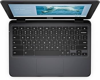 Amazon.co.jp: Dell Chromebook 3100-11.6インチ - Celeron N4020-4GB
