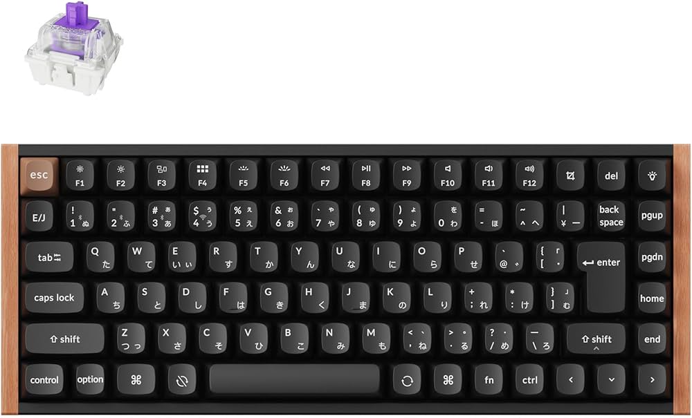 Amazon | 【国内正規品】Keychron K2 HE ラピッドトリガー ワイヤレス