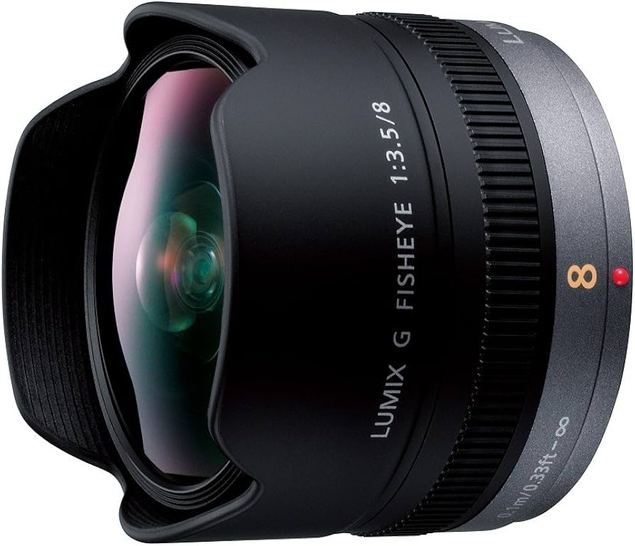 Amazon.com : Panasonic LUMIX G FISHEYE 8mm/F3.5 Lens | H-F008