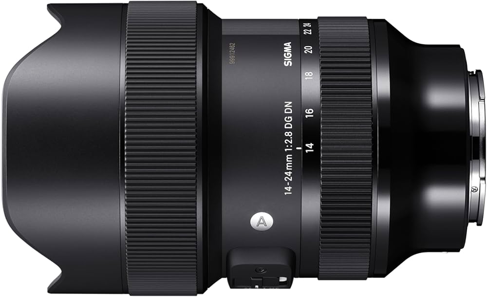 Amazon.co.jp: シグマ(Sigma) レンズ 14-24mm F2.8 DG DN Sony ソニー