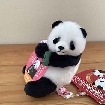 61cRxwaydsL._AC_UF350,