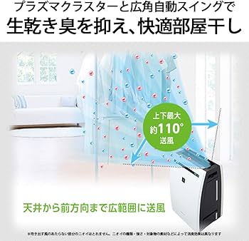 61cUK+eCWFL._AC_UF350,