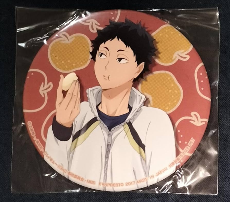 ハイキュー!!米を食べろ 肉を食べろ 野菜も食べろ!! BIG缶バッジ 日向