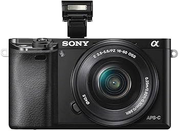 Amazon.com : Sony Alpha a6000 Mirrorless Digital Camera w/ 16-50mm