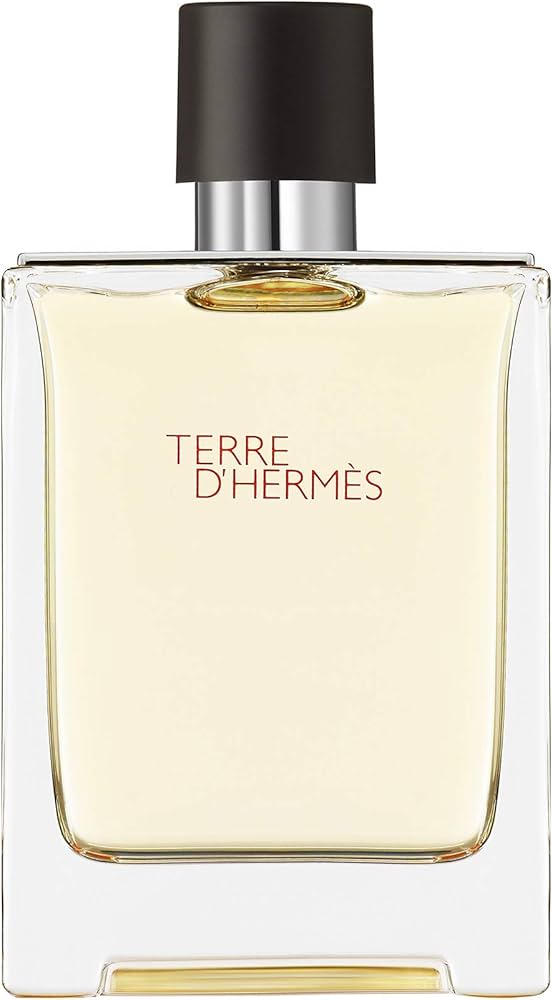 Amazon.com : Hermes Terre D'Hermes Eau De Toilette Spray 100ml/3.4