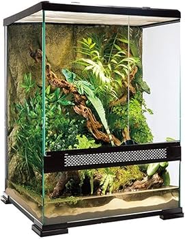 Amazon | ガラス爬虫類ケージ、トカゲカメレオンカメヘビクリッター