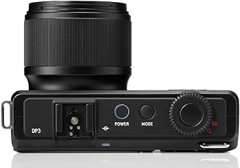 Amazon.com : Sigma C79900 DP3 Merrill Digital Camera with Foveon