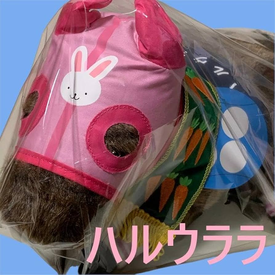 Amazon.co.jp: ハルウララ 競馬 ぬいぐるみ アイドルホース AVANTI