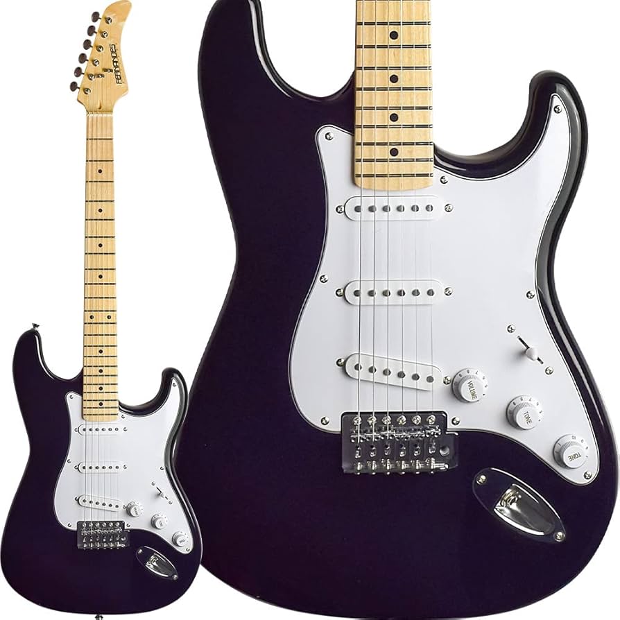 Amazon.co.jp: フェルナンデス エレキギター LE 1Z 3S 2013 BLK/M