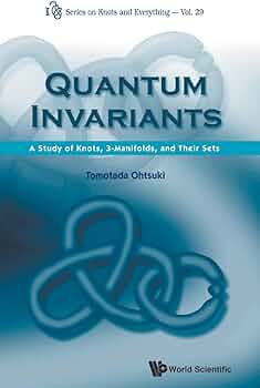 Quantum Invariants: A Study of Knot, 3-Manifolds, and Their Sets