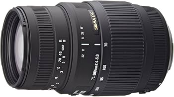 Amazon.co.jp: SIGMA 望遠ズームレンズ 70-300mm F4-5.6 DG MACRO