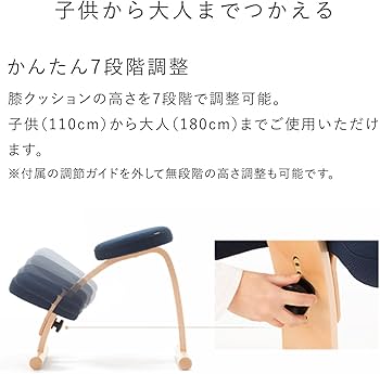 Amazon.co.jp: バランスラボ バランスイージー 通常フレーム 通常箱