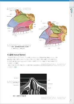 外鼻形成術−機能と形態を両立した手術 | ライノプラスティー研究会