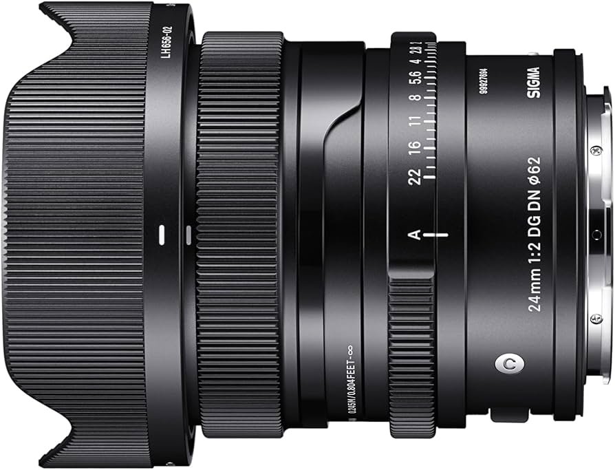 Amazon.com : 24mm F2 DG DN for Sony E : Electronics
