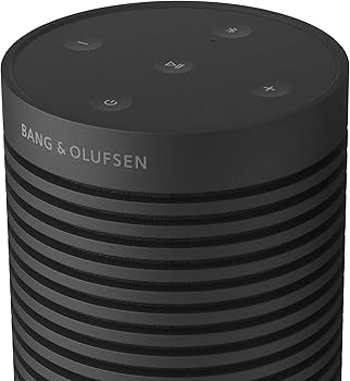 Amazon.com: Bang & Olufsen Beosound Explore - Wireless Portable