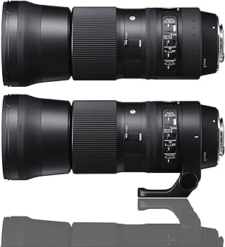 Amazon.com : Sigma 150-600mm 5-6.3 Contemporary DG OS HSM Lens for