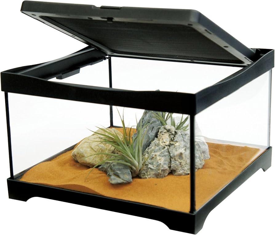 Amazon | コトブキ ヒュドラケース3120 | Kotobuki | 飼育ケース