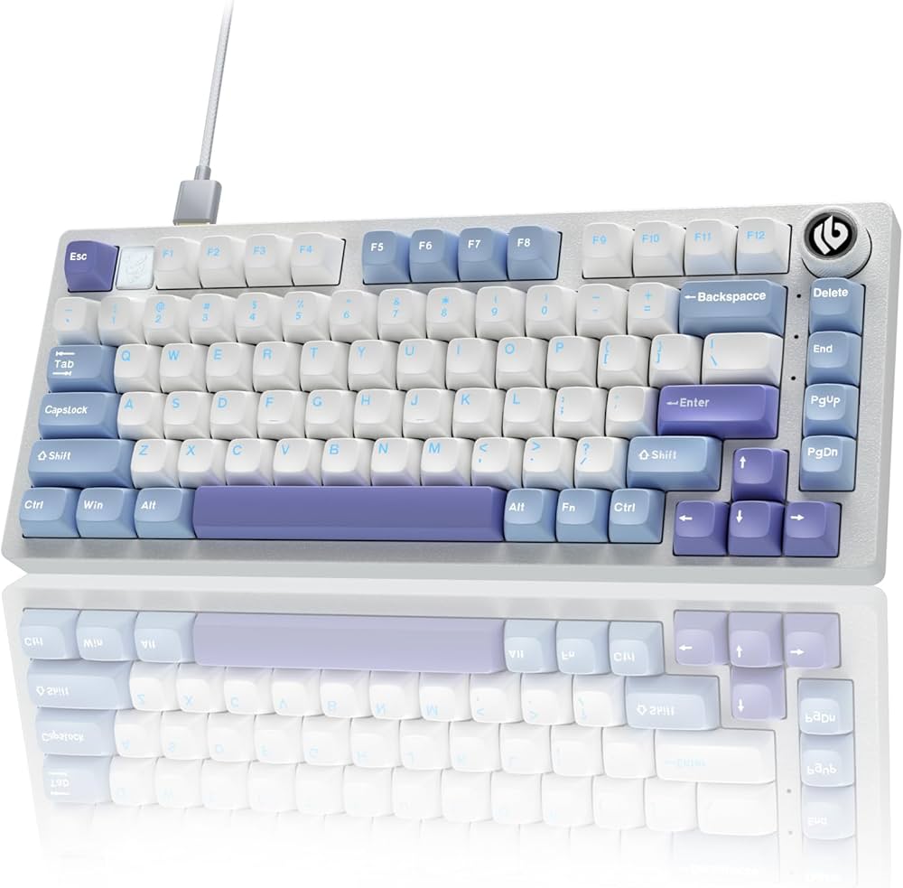 LEOBOG Hi75 RGBキーボード 本体 EPOMAKER x LEOBOG Hi75