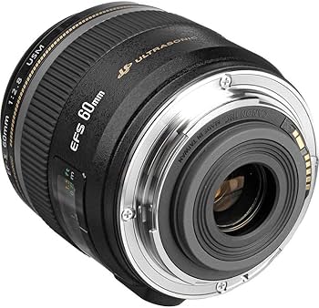 Amazon.com : Canon EF-S 60mm f/2.8 Macro USM Fixed Lens for Canon