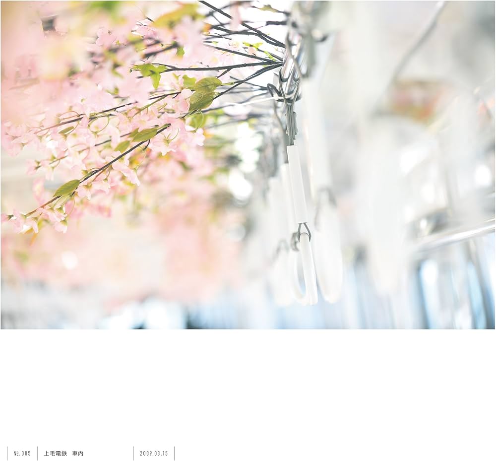 Amazon.co.jp: 中井精也写真集 1日1鉄! : 中井精也: 本