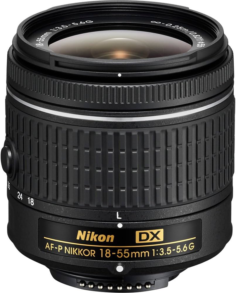 NIKON AF-P DX NIKKOR 18-55mm f/3.5-5.6G Lens : Amazon.ca: Electronics