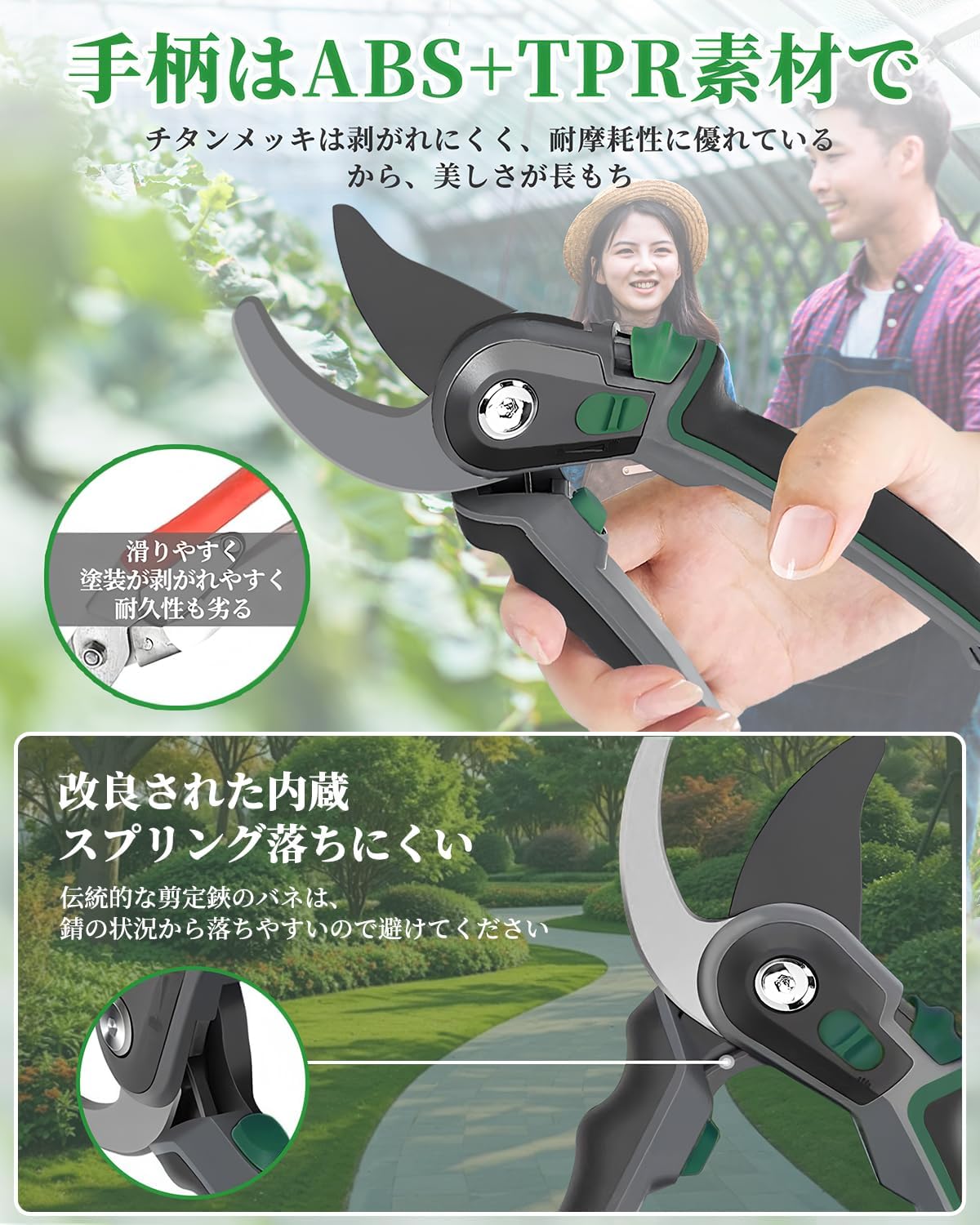 ぶどう台木剪定枝 テレキ 40本（その15） ぶどう台木剪定枝 テレキ 40