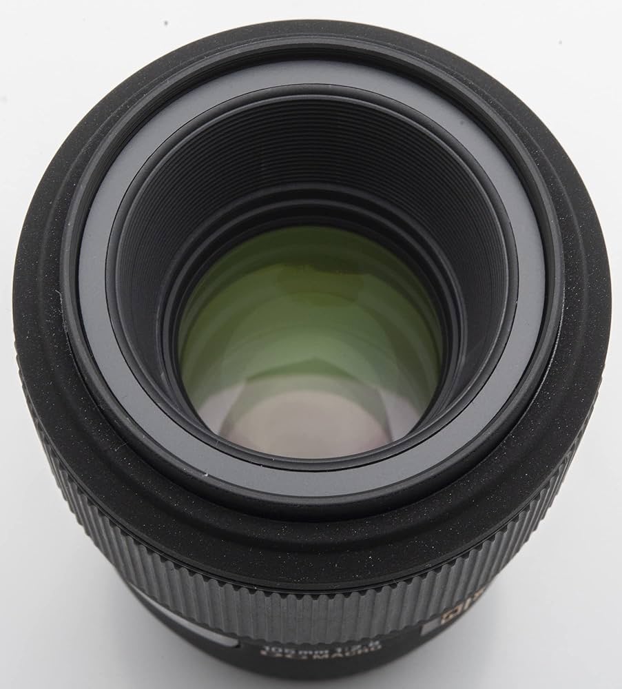 Amazon.co.jp: シグマ 105mm F2.8 EX DG MACRO ソニー用 : 家電＆カメラ