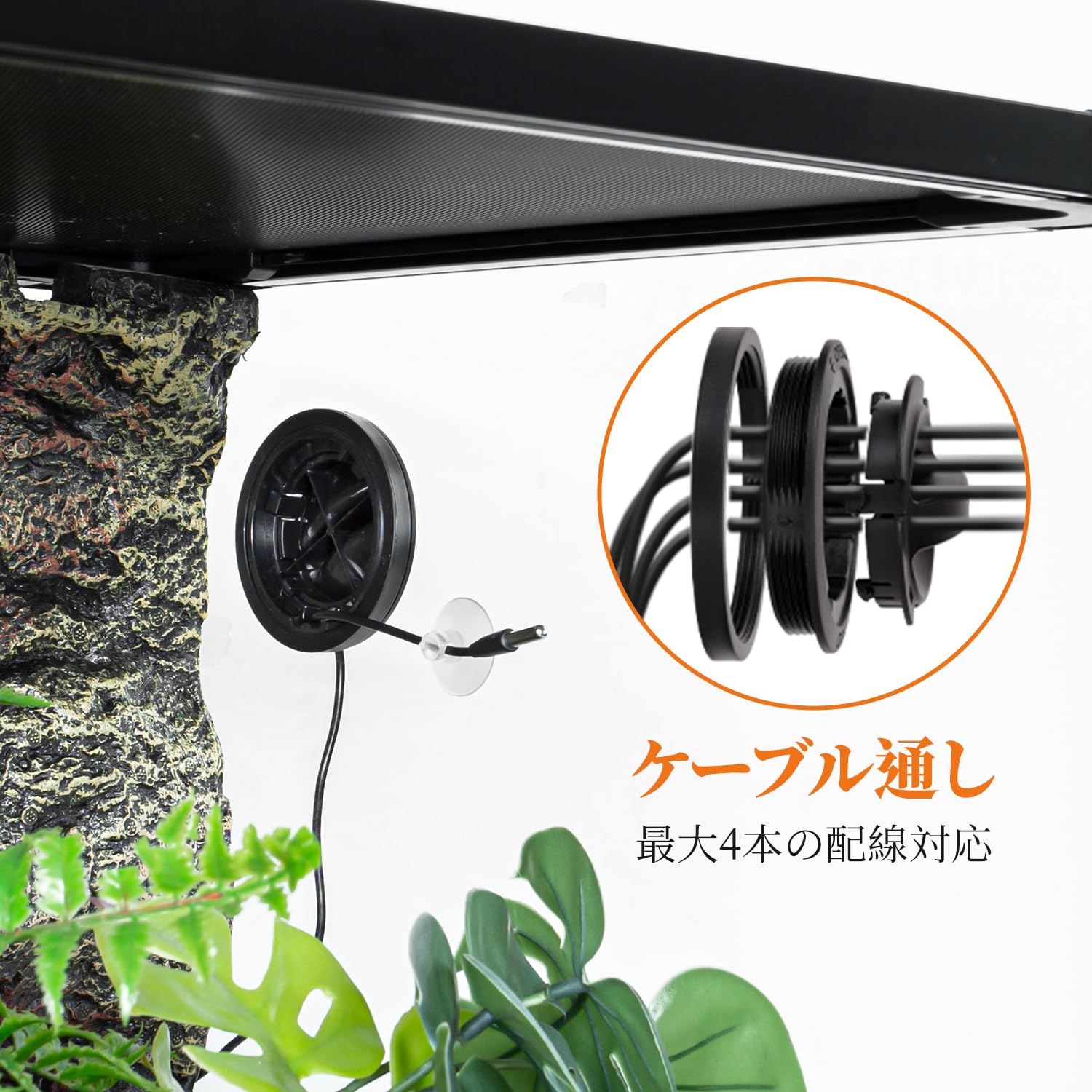 Amazon | 120L 爬虫類ケージ グラステラリウム 透明 W60×D45×H45CM