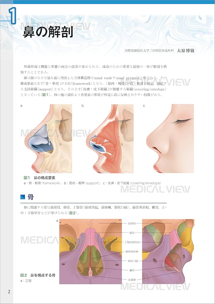 外鼻形成術−機能と形態を両立した手術 | ライノプラスティー研究会