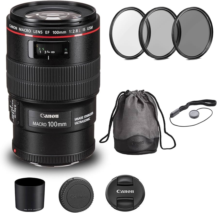 Amazon.com : Canon EF 100mm f/2.8L Macro is USM Lens (3554B002