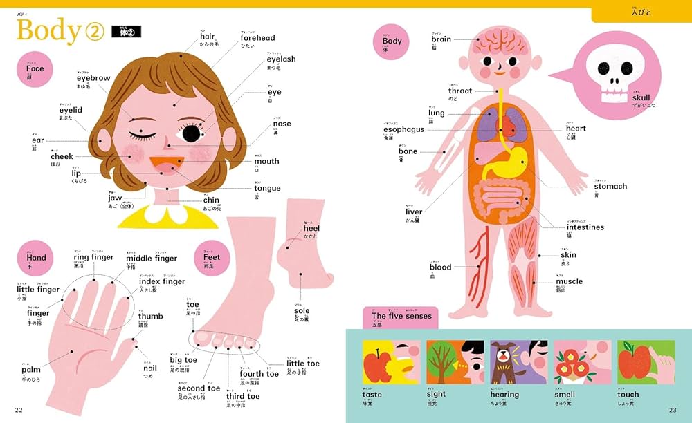 英語ことば図鑑5000 | アレン玉井 光江, 小学館辞典編集部 |本 | 通販