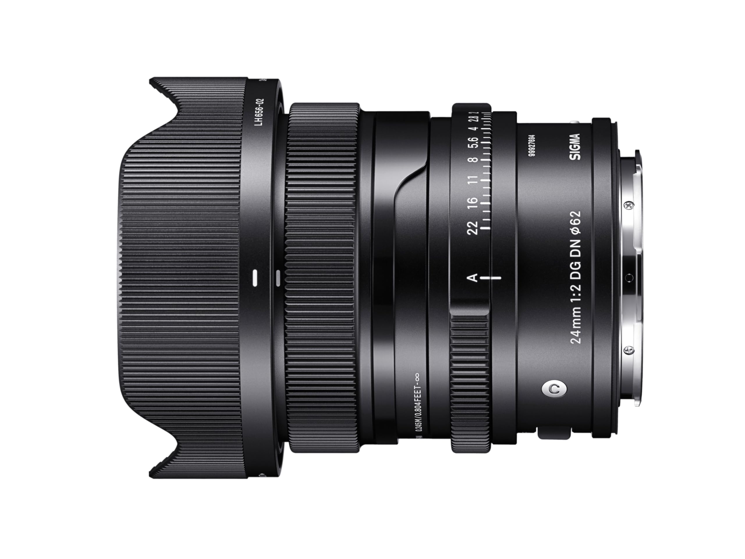 Amazon.com : 24mm F2 DG DN for L-Mount : Electronics