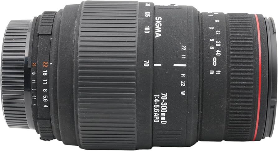 Amazon.com : Sigma 70-300mm f/4-5.6 APO Macro Super Lens for Nikon