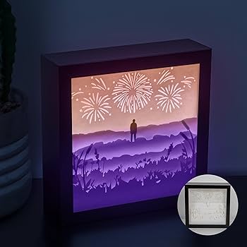 Amazon.com: BTS RM Wildflower Inspired Light Box - Gifts for Kpop