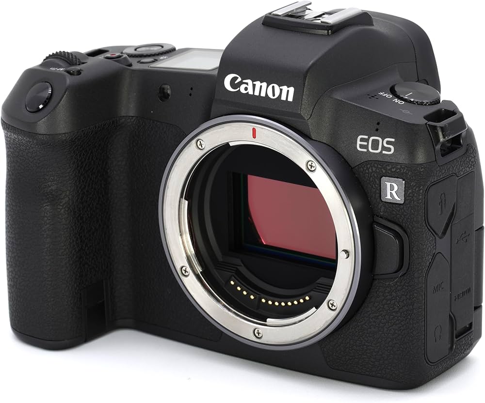 Amazon.co.jp: Canon ミラーレス一眼カメラ EOS R ボディー EOSR