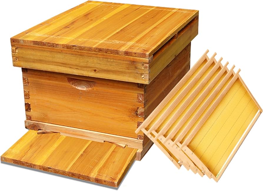 Amazon.co.jp: ミツバチ巣箱セット 養蜂 巣箱 キット 6フレーム