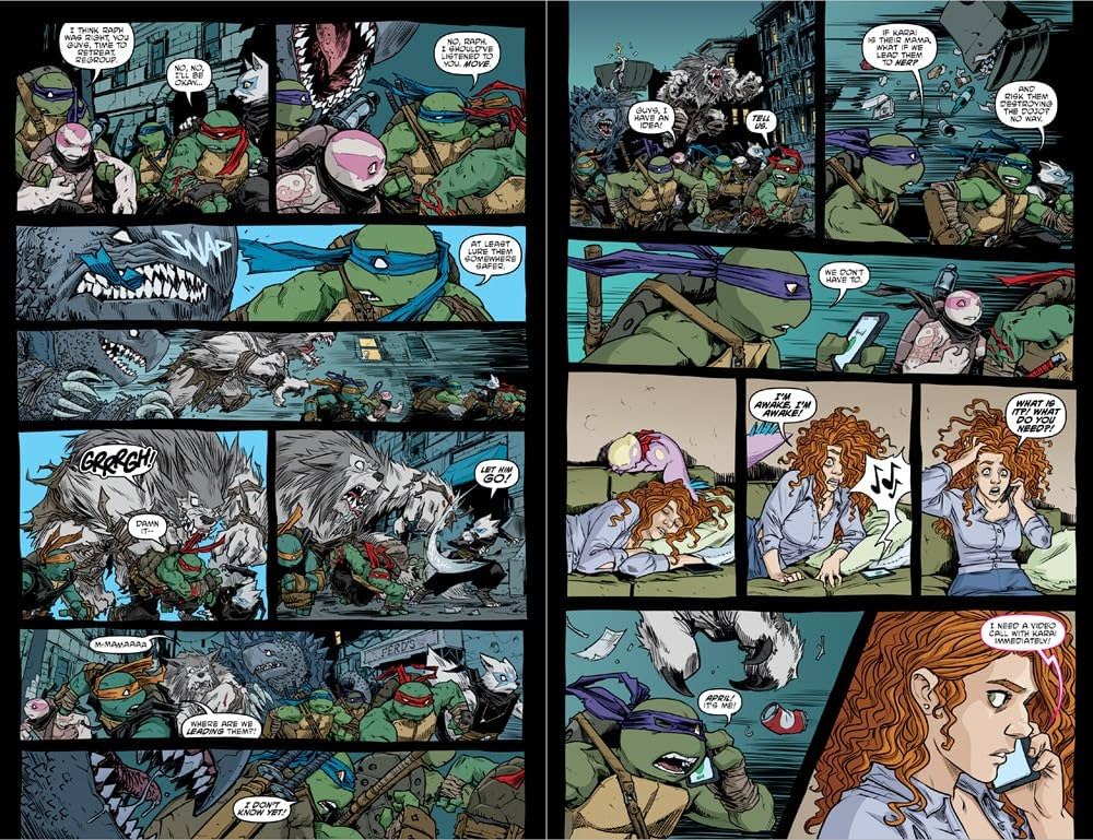 Teenage Mutant Ninja Turtles: The IDW Collection Volume 15